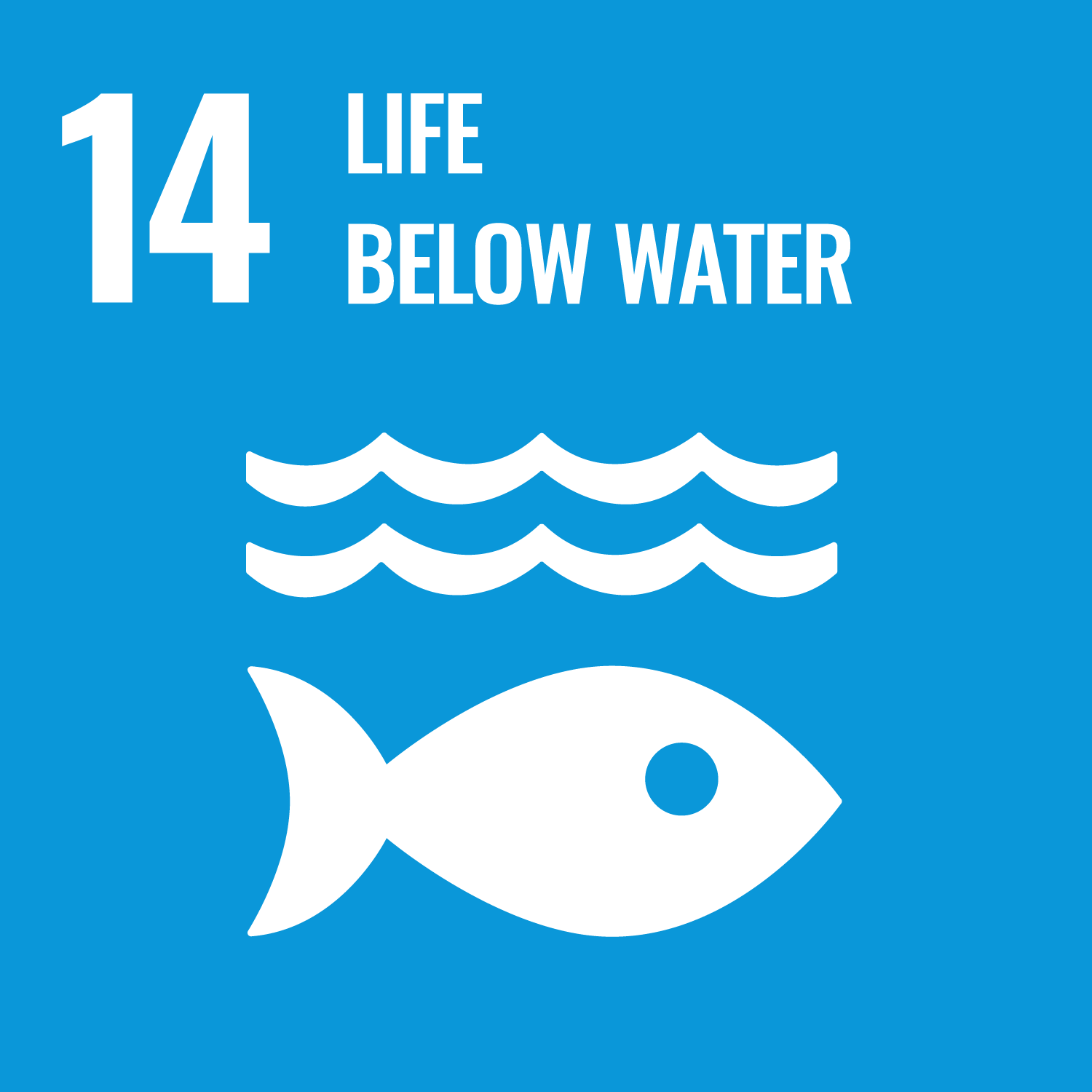 SDG 14 — Life below water / life on land