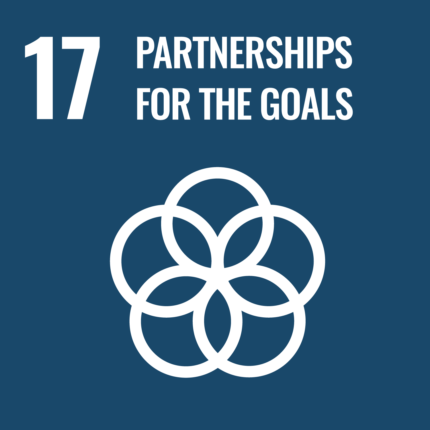 SDG 17 — Partnerships for the goals