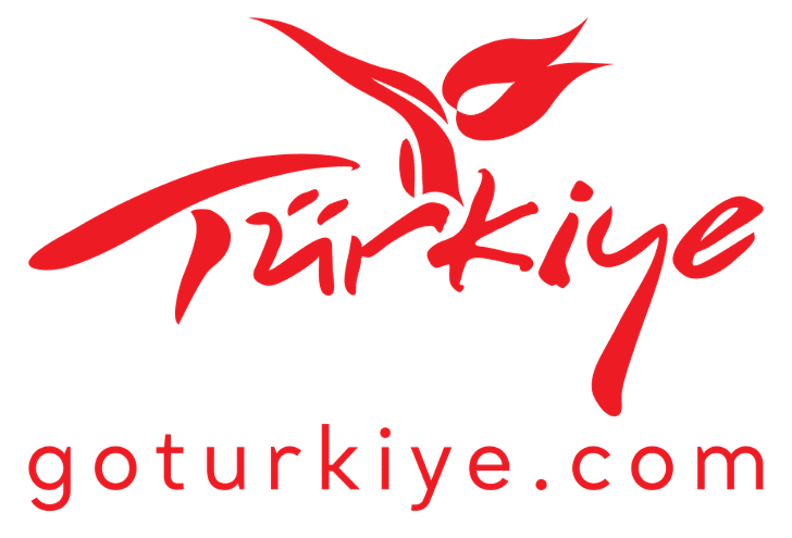 GoTürkiye