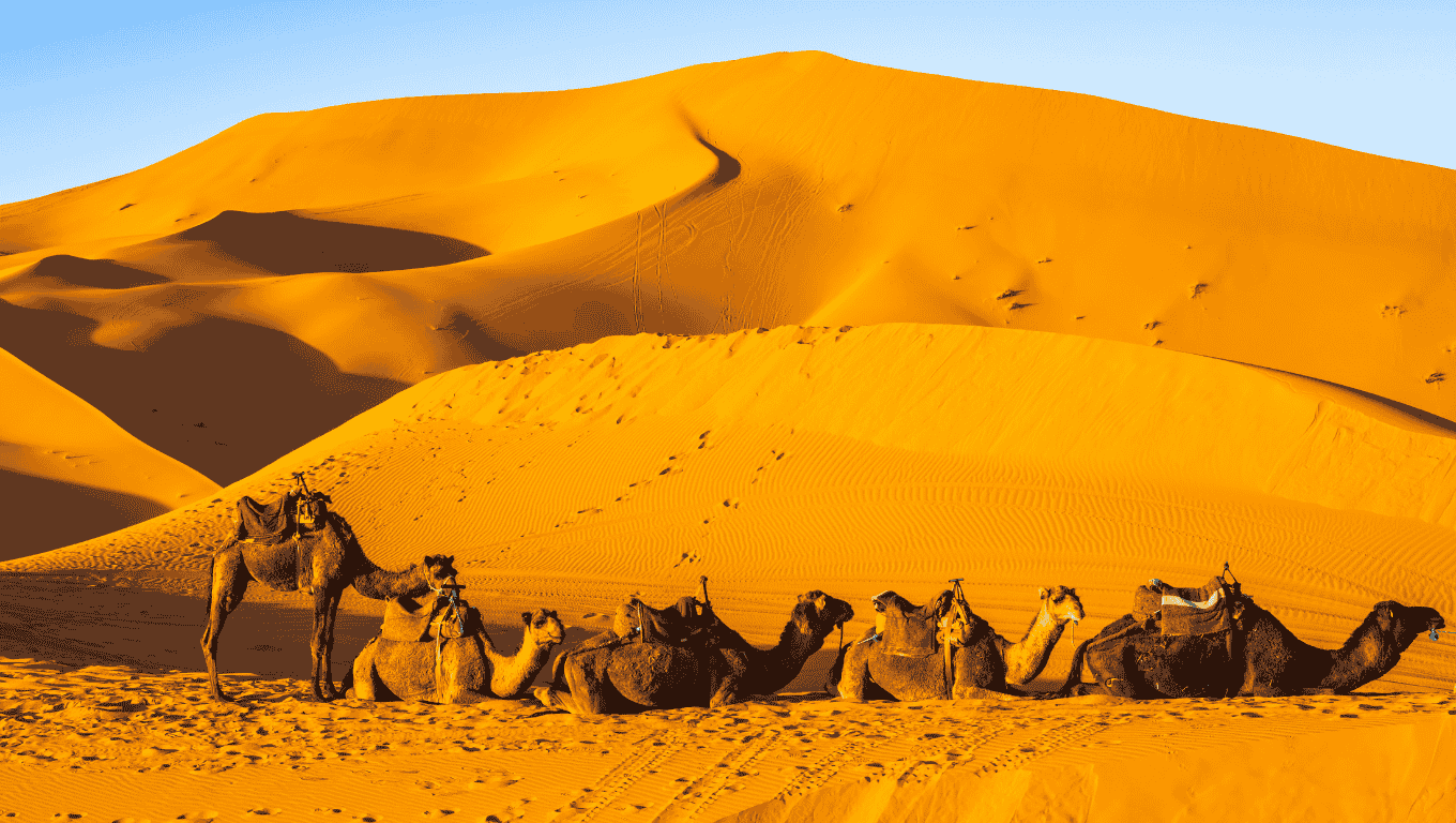 Morocco Grand Circuit: 10-Day Imperial Cities, Blue Streets & Sahara Nights