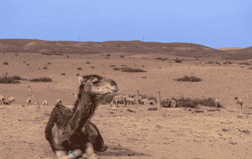 Imperial Cities & Desert 4 Days